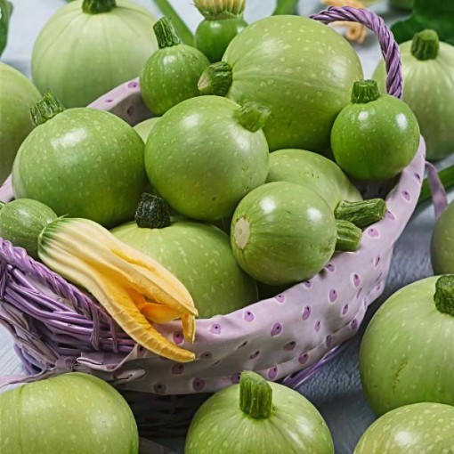 Ronde de Nice Squash Seeds