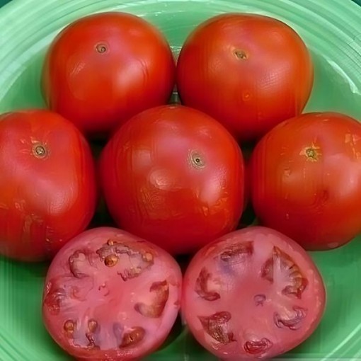 Top Gun Tomato Seeds