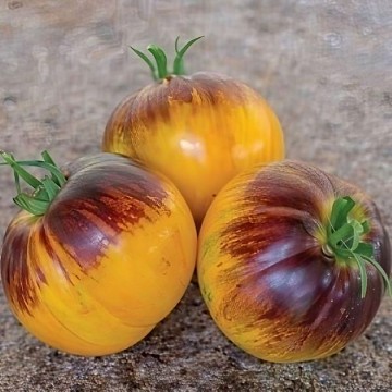 Alice's Dream Tomato Seeds