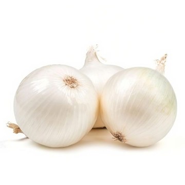 Early White Grano Onion Seeds