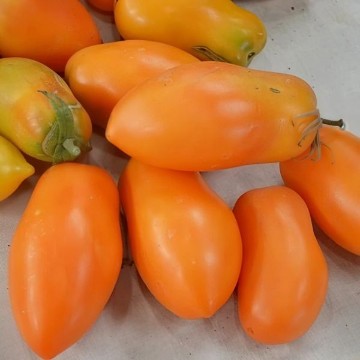 Orange Banana Tomato Seeds
