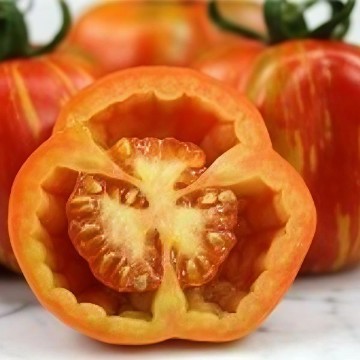 Striped Cavern Tomato Seeds