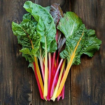 Rainbow Swiss Chard Seeds