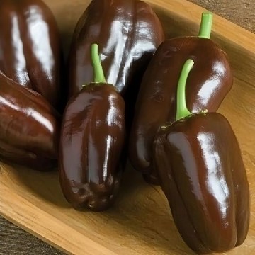 Sweet Chocolate Pepper Seeds