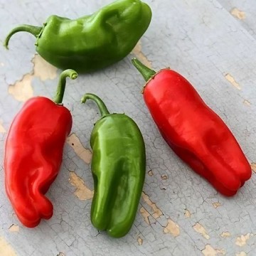 Pimiento de Padron Pepper Seeds