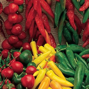 Salsa Blend Pepper Seeds