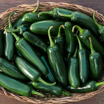 Craig's Grande Jalapeno Pepper Seeds