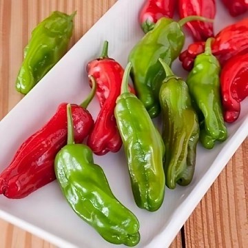 Shishito Pepper Seeds