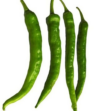 Fushimi Pepper Seeds