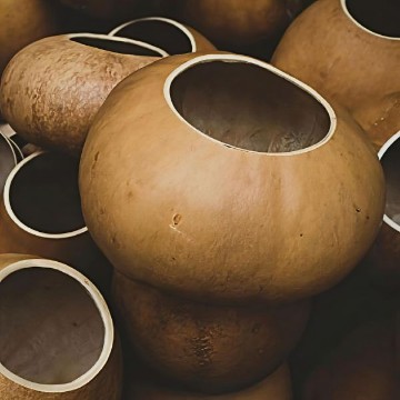 Bushel Gourd Seeds